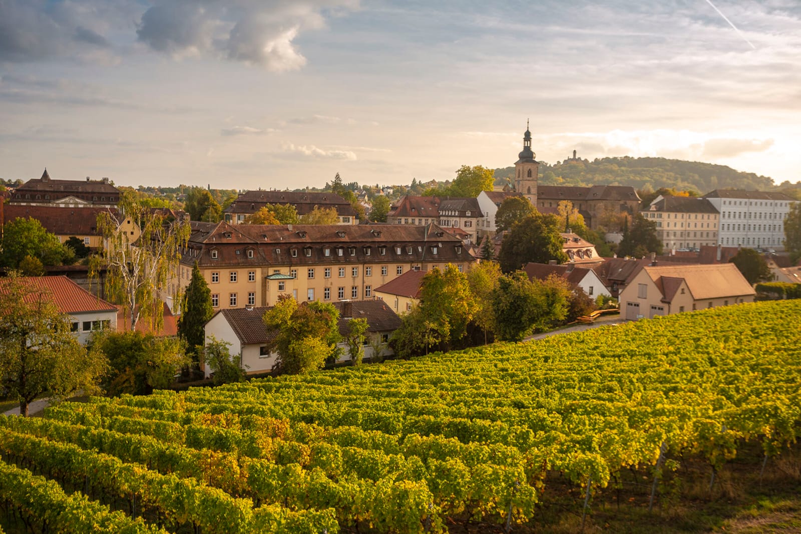 Weinberg am Rand von Bamberg mit Blick über Dächer und Kirchtürme der Stadt