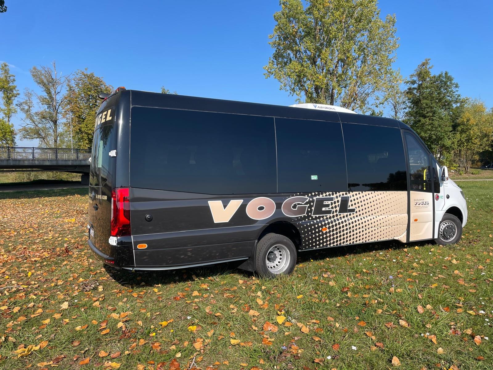 Komfort Midibus von hinten mit Vogel-Schriftzug auf der Fahrzeugseite