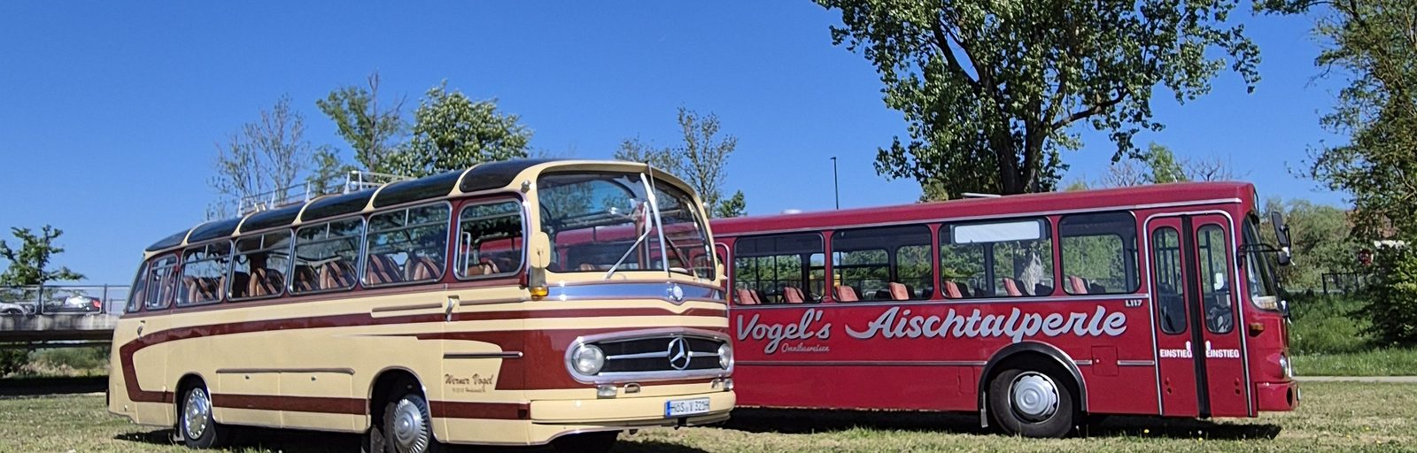 Beide Oldtimerbusse von Vogel-Omnibus nebeneinander auf einer Wiese: Mercedes Drögmöller O321 H und Magirus Deutz L117 Aischtalperle