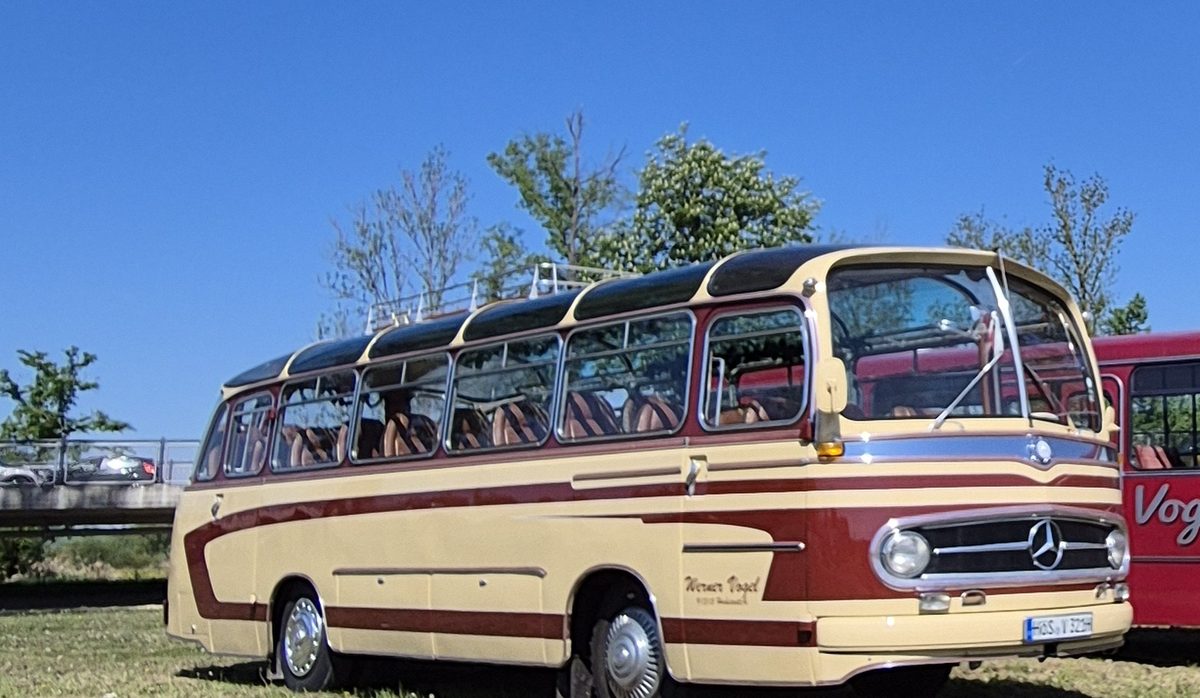 Mercedes Drögmöller O321 H, Oldtimer-Reisebus mit Dachreling und Panoramafenstern, schräg von vorn auf der Wiese
