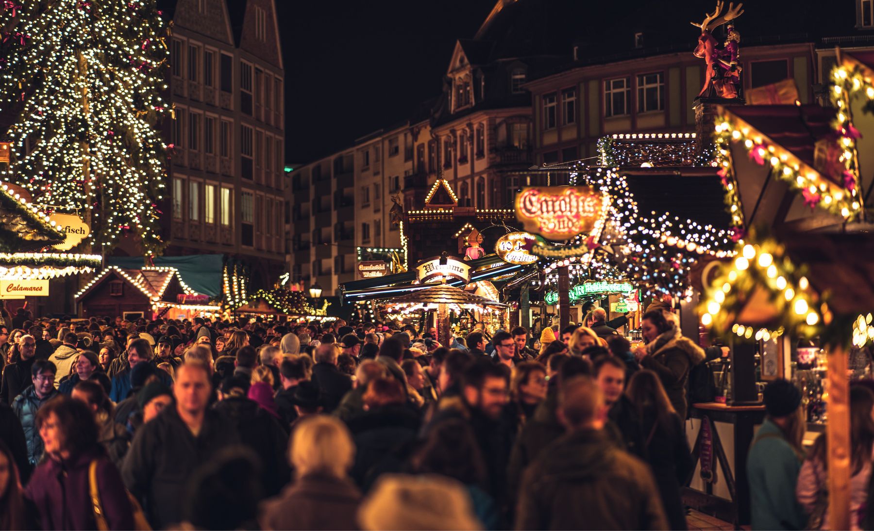 Weihnachtsmarkt Leipzig, Tagesfahrt mit Vogel-Omnibus