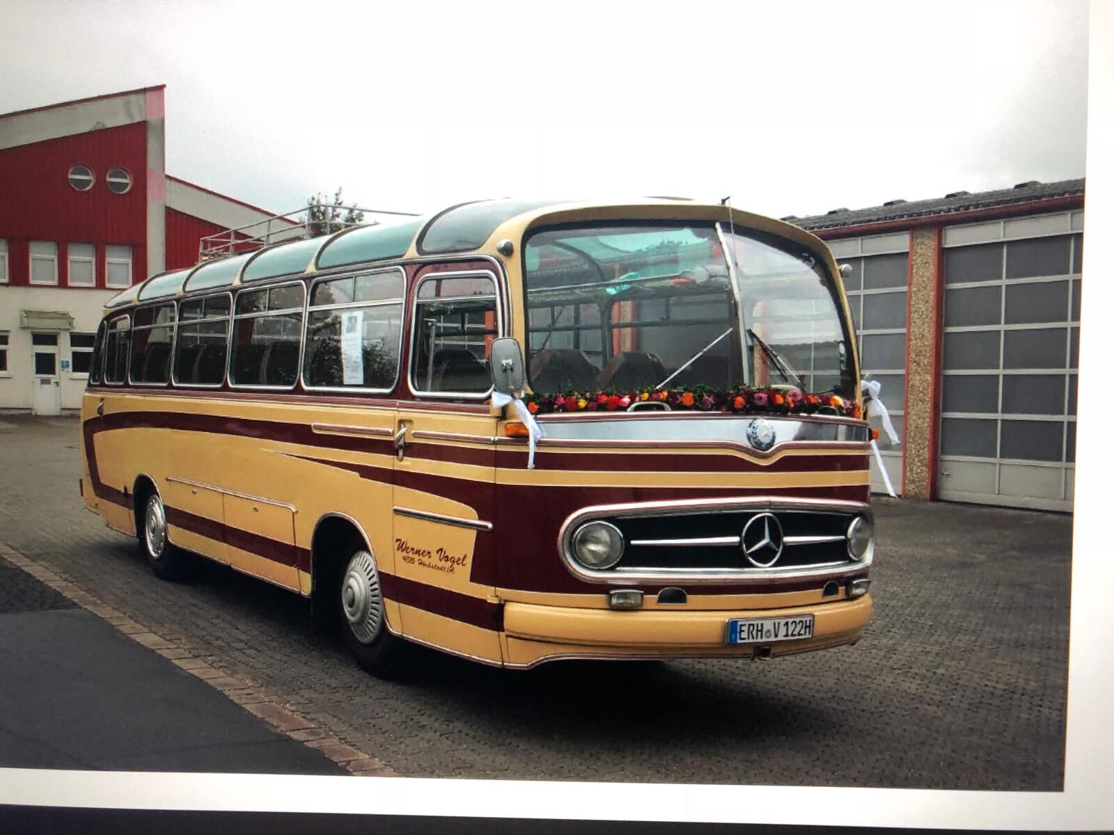 Mercedes-Oldtimerbus mit Blumenschmuck, beliebt für Hochzeitsfahrten
